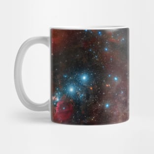 Orion Head to Toe Image Mug